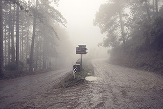 strada nel bosco, strada con nebbia